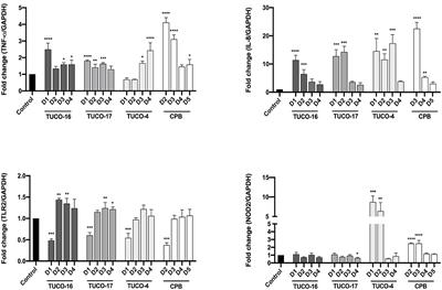 Isolation, characterization, and immunomodulatory activity evaluation of probiotic strains from colostrum and canine milk